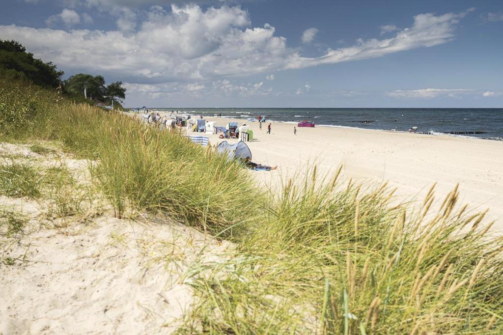 Ferienwohnung Tor Zum Meer - Neubau Mit Sauna, Fahrstuhl Und Tiefgarage Kühlungsborn Dış mekan fotoğraf